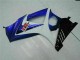 ABS Kits Carena Moto GSXR 1000 K7 2007-2008 - Blu ABS Kits Carena Moto GSXR 1000 K7 2007-2008 - Blu
