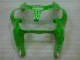 ABS Moto Plastica & Moto Carena ZX6R 2000-2002 - Verde Nero ABS Moto Plastica & Moto Carena ZX6R 2000-2002 - Verde Nero