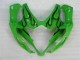 Carena Moto GSXR 1000 K5 2005-2006 - Verde Carena Moto GSXR 1000 K5 2005-2006 - Verde
