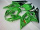 Carena Moto GSXR 1000 K5 2005-2006 - Verde Carena Moto GSXR 1000 K5 2005-2006 - Verde