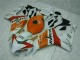 Carene Moto CBR 1000 RR 2004-2005 - Arancia Bianco Repsol Carene Moto CBR 1000 RR 2004-2005 - Arancia Bianco Repsol