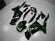 Carene Moto EX650 2006-2008 - Verde Fiamma Carene Moto EX650 2006-2008 - Verde Fiamma