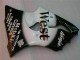 Carene Moto ZX6R 2000-2002 - Nero West Ninja Carene Moto ZX6R 2000-2002 - Nero West Ninja
