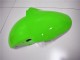 Carene Moto ZX6R 2000-2002 - Verde Bianco Nero Carene Moto ZX6R 2000-2002 - Verde Bianco Nero