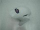 Carrozzeria Moto & Carena Moto CBR 1000 RR 2004-2005 - Blu Bianco Carrozzeria Moto & Carena Moto CBR 1000 RR 2004-2005 - Blu Bianco